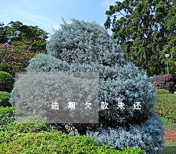 逾期欠款未还 逾期欠款未还