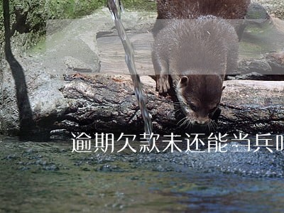 逾期欠款未还能当兵吗 逾期欠款未还能当兵吗