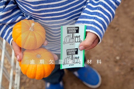 逾期欠款案件材料