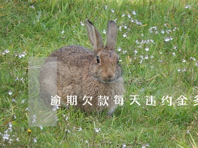 逾期欠款每天违约金多少合法 逾期欠款每天违约金多少合法