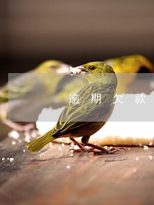 逾期欠款没结清