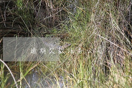 逾期欠款法务公司 逾期欠款法务公司