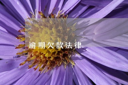 逾期欠款法律 逾期欠款法律