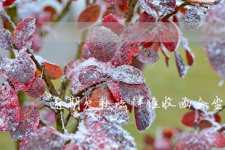 逾期欠款法律催收函会坐牢吗 逾期欠款法律催收函会坐牢吗