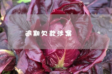 逾期欠款涉案 逾期欠款涉案