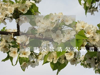 逾期欠款清欠保障措施 逾期欠款清欠保障措施