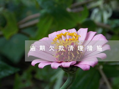 逾期欠款清理措施