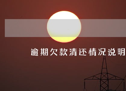 逾期欠款清还情况说明 逾期欠款清还情况说明