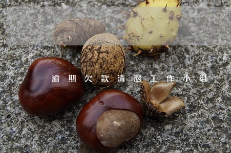 逾期欠款清退工作小组 逾期欠款清退工作小组