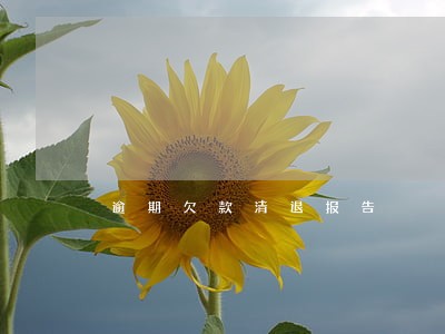 逾期欠款清退报告 逾期欠款清退报告