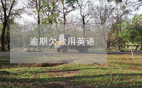逾期欠款用英语 逾期欠款用英语