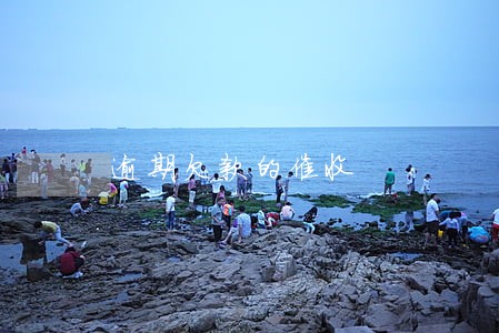 逾期欠款的催收 逾期欠款的催收