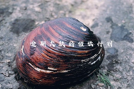 逾期欠款的催收计划 逾期欠款的催收计划