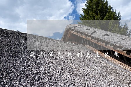 逾期欠款的利息怎么收 逾期欠款的利息怎么收