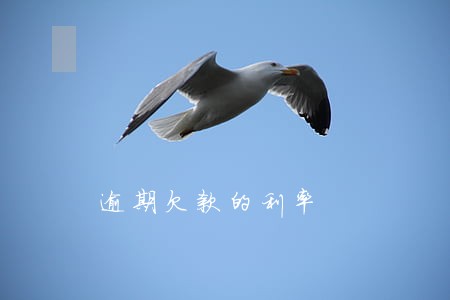 逾期欠款的利率 逾期欠款的利率