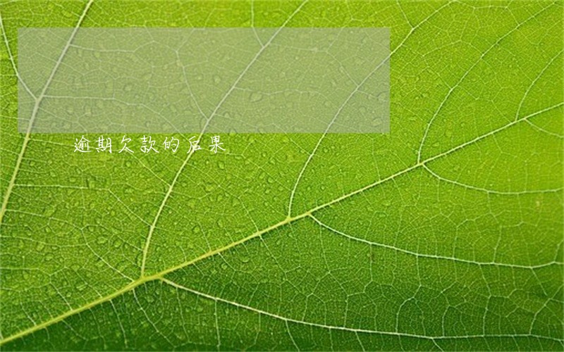 逾期欠款的后果 逾期欠款的后果