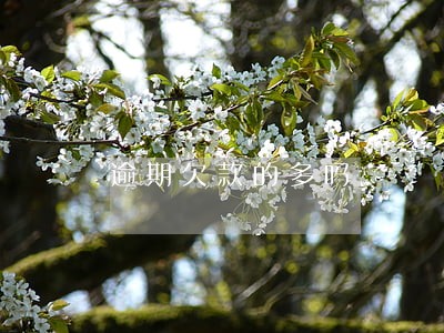 逾期欠款的多吗