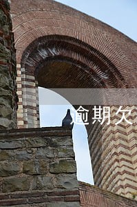 逾期欠款的房子可以出租吗 逾期欠款的房子可以出租吗