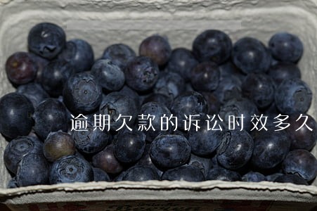 逾期欠款的诉讼时效多久 逾期欠款的诉讼时效多久