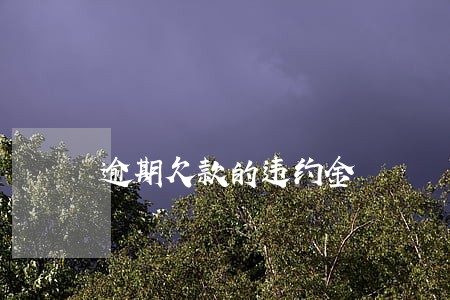 逾期欠款的违约金 逾期欠款的违约金