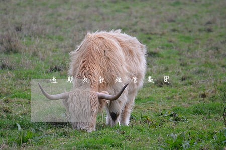 逾期欠款短信截图 逾期欠款短信截图