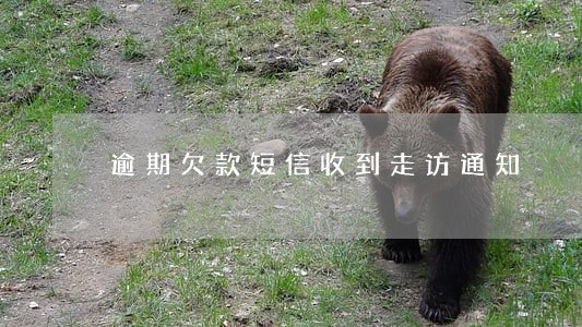 逾期欠款短信收到走访通知 逾期欠款短信收到走访通知