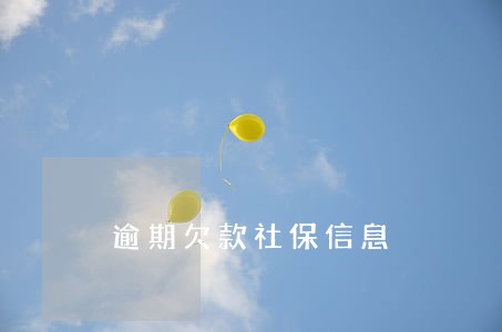 逾期欠款社保信息 逾期欠款社保信息
