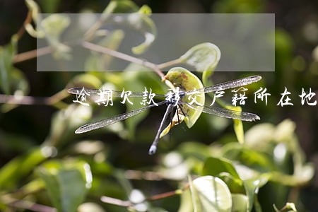 逾期欠款移交户籍所在地 逾期欠款移交户籍所在地