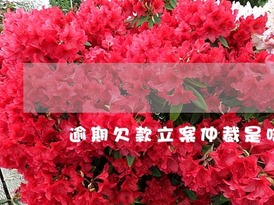 逾期欠款立案仲裁是啥 逾期欠款立案仲裁是啥
