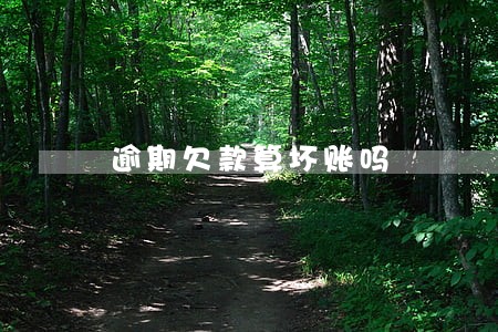 逾期欠款算坏账吗 逾期欠款算坏账吗