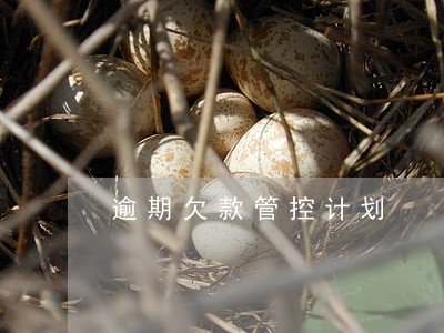 逾期欠款管控计划 逾期欠款管控计划