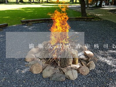 逾期欠款结清审核可以通过吗 逾期欠款结清审核可以通过吗