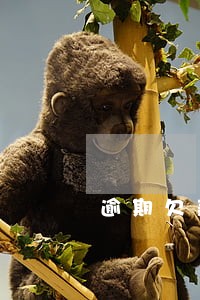 逾期欠款综合办打电话 逾期欠款综合办打电话