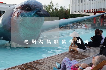 逾期欠款能被拘捕吗 逾期欠款能被拘捕吗