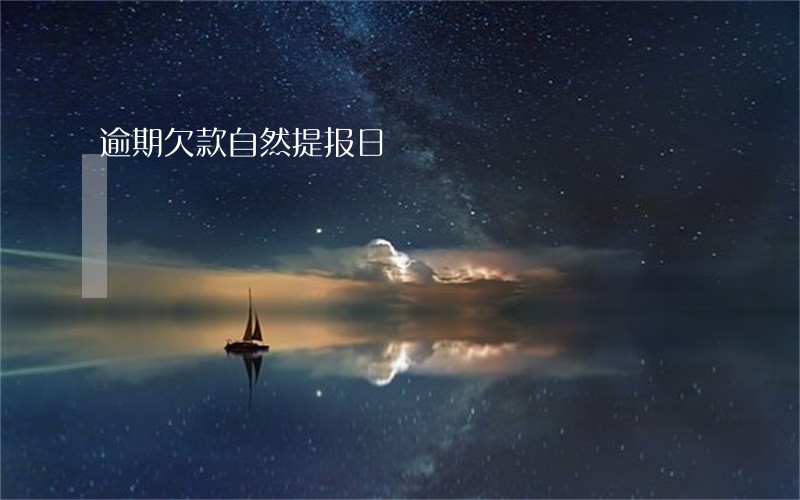 逾期欠款自然提报日 逾期欠款自然提报日