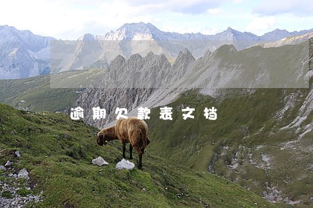 逾期欠款表文档 逾期欠款表文档