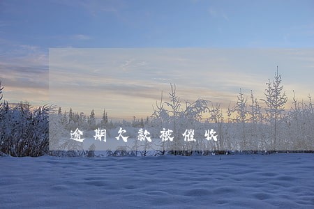 逾期欠款被催收 逾期欠款被催收