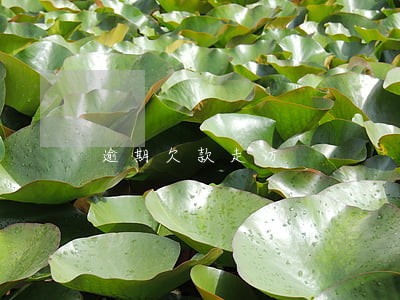 逾期欠款走访 逾期欠款走访