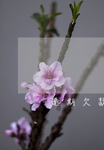 逾期欠款走访户籍地怎么处理 逾期欠款走访户籍地怎么处理