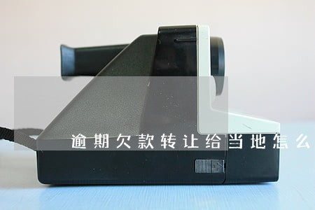 逾期欠款转让给当地怎么处理 逾期欠款转让给当地怎么处理
