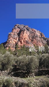 逾期欠款还上后能不能消卞 逾期欠款还上后能不能消卞