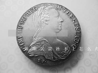 逾期欠款还不上怎么办