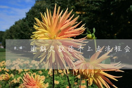 逾期欠款还不上走流程会怎么样 逾期欠款还不上走流程会怎么样