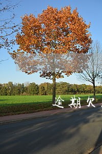 逾期欠款还完还上征信怎么回事 逾期欠款还完还上征信怎么回事