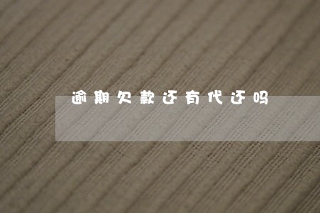 逾期欠款还有代还吗