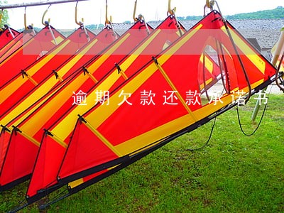逾期欠款还款承诺书 逾期欠款还款承诺书