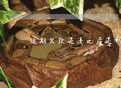逾期欠款还清之后还影响出国吗 逾期欠款还清之后还影响出国吗
