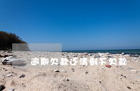 逾期欠款还清剩下欠款 逾期欠款还清剩下欠款