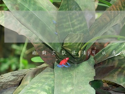 逾期欠款还清可以房贷吗 逾期欠款还清可以房贷吗