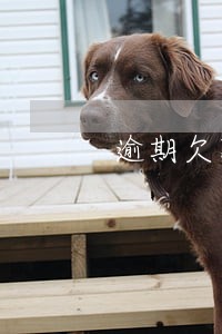 逾期欠款还清后多久能买车 逾期欠款还清后多久能买车